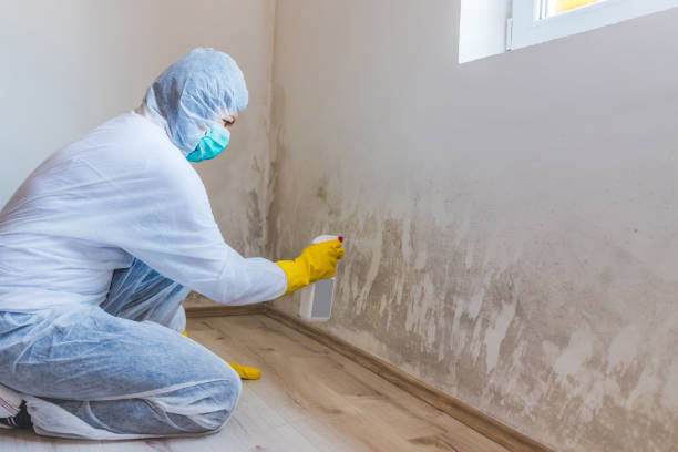 Licensed Bathroom Mold Removal service in Capron, VA - WQB Mold Removal