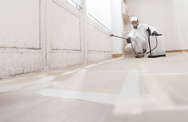 24/7 Emergency Bathroom Mold Removal experts in Capron, VA