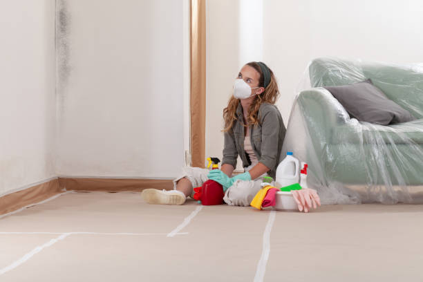 Reliable Bathroom Mold Removal contractor in Capron, VA by WQB Mold Removal